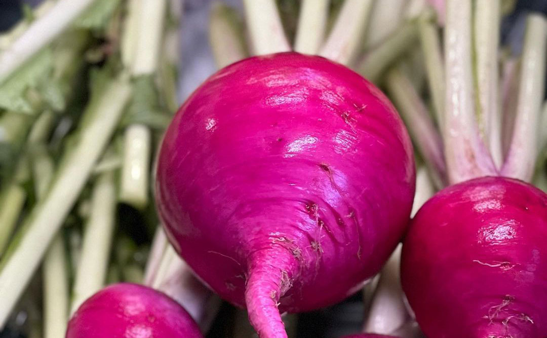 FARM OKANO 生産品目