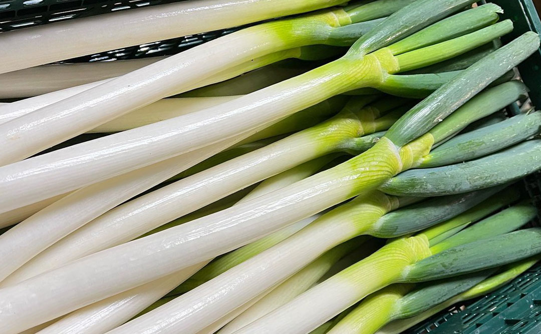 FARM OKANO 生産品目