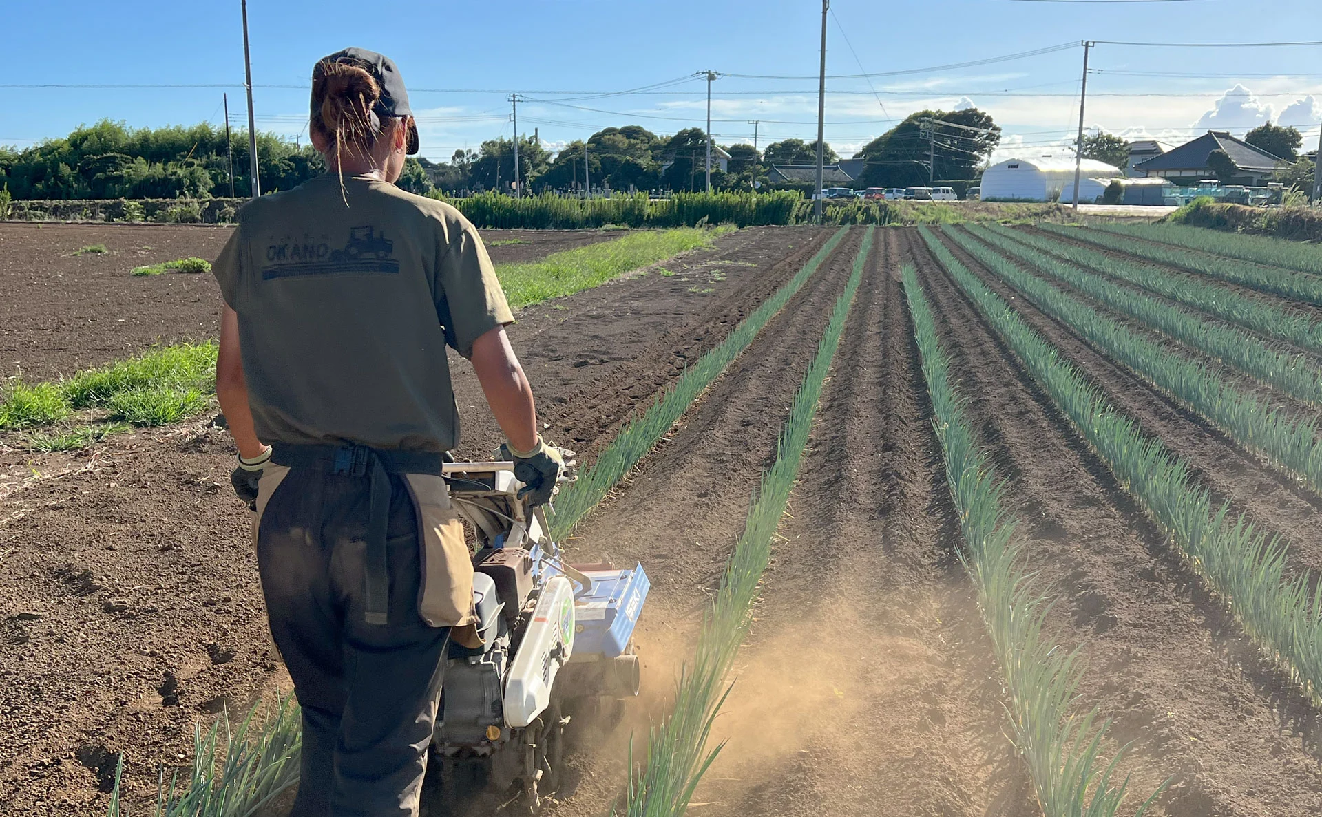 FARM OKANO 採用情報 農家の1日